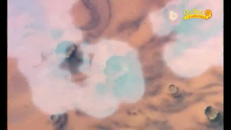 Bir Varmış Bir Yokmuş : İnsanoğlu - Il était une fois : l’Homme (26 Bölüm)