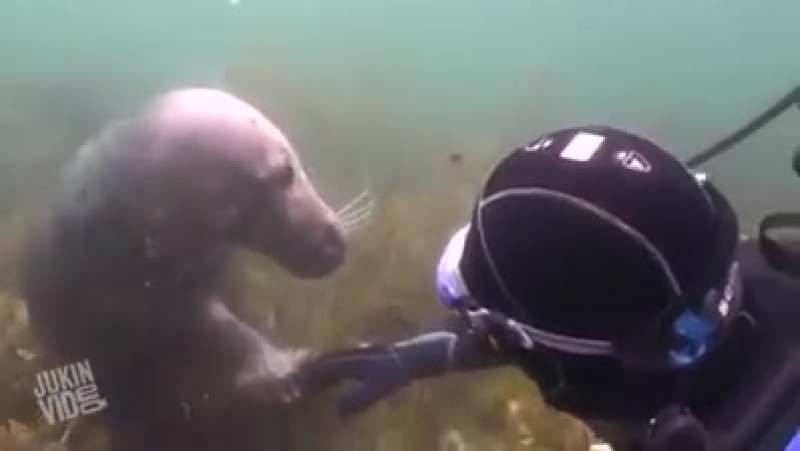 самое оригинальное