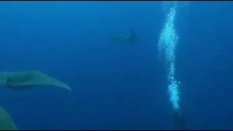 ПРОСТО АЛЬБОМ