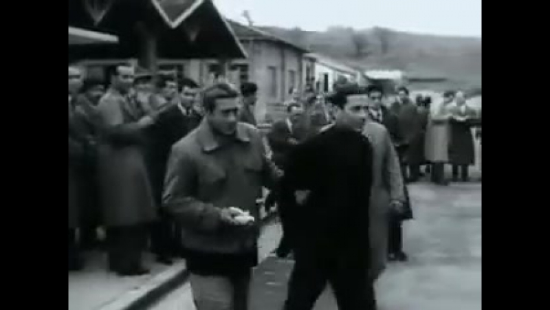 Pasolini