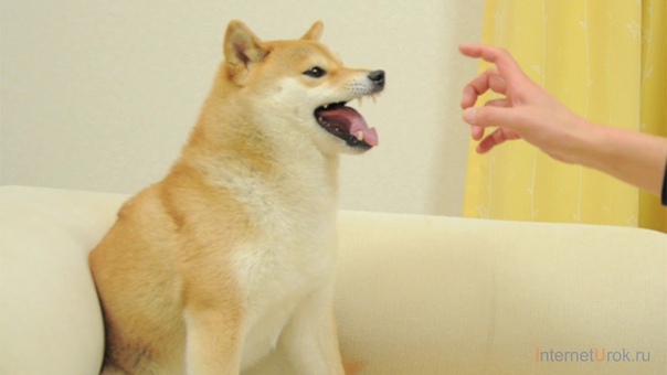 Лекции, конференции, вебинары