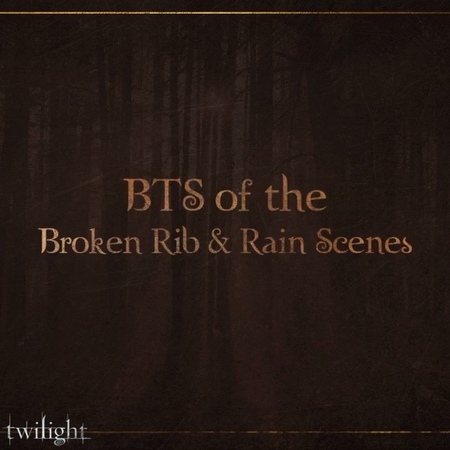 К 10-летию Сумерек