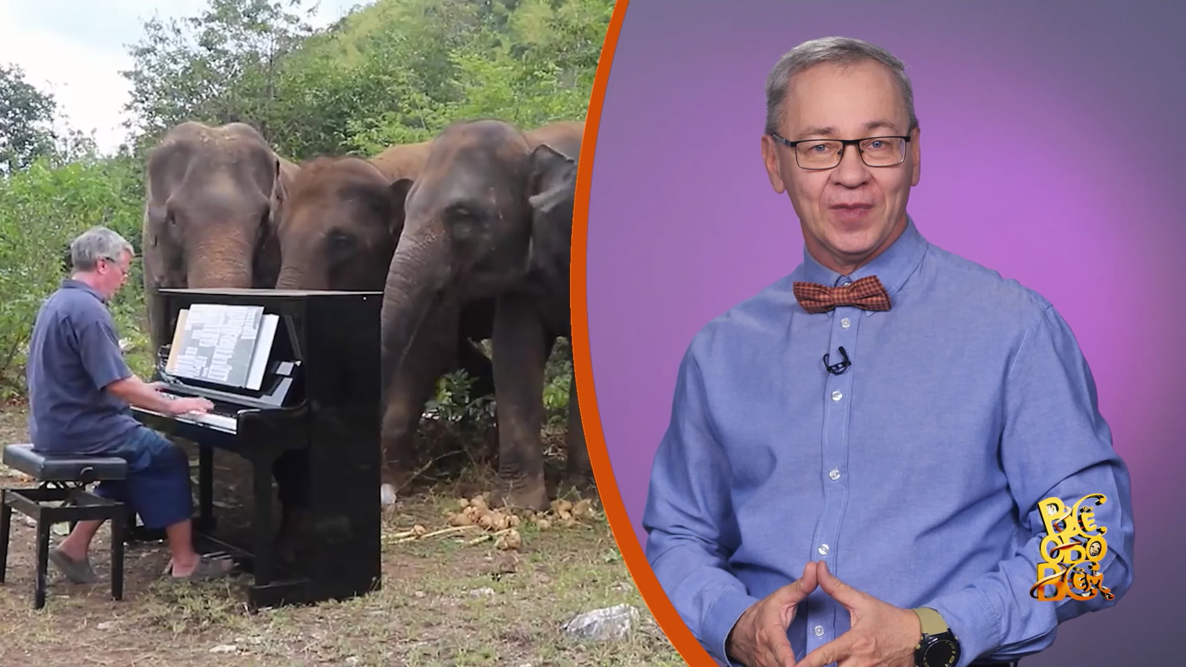 Всё обо всём