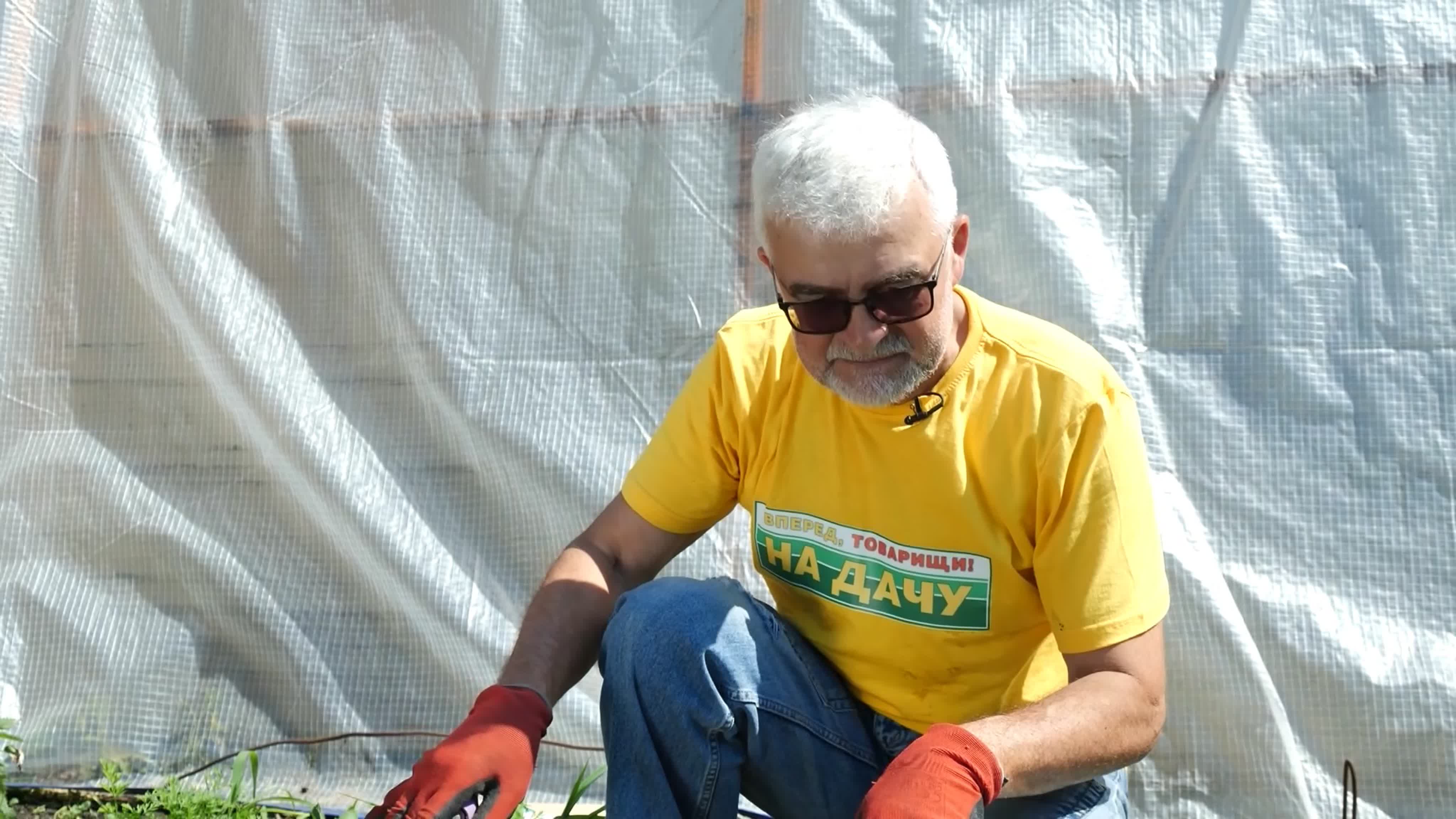 Вперед, товарищи, на дачу!