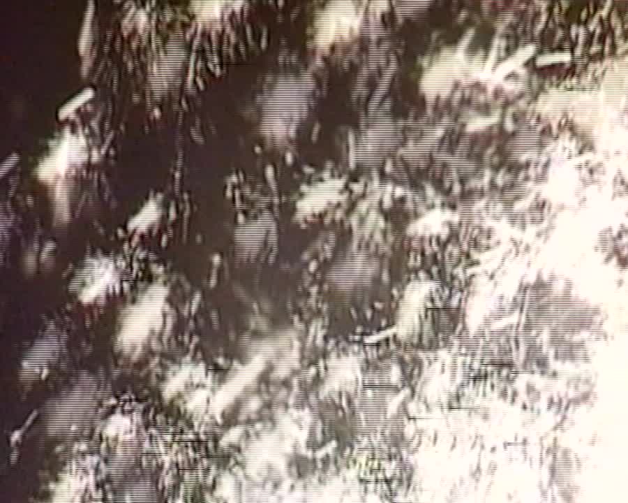 Адреса победы