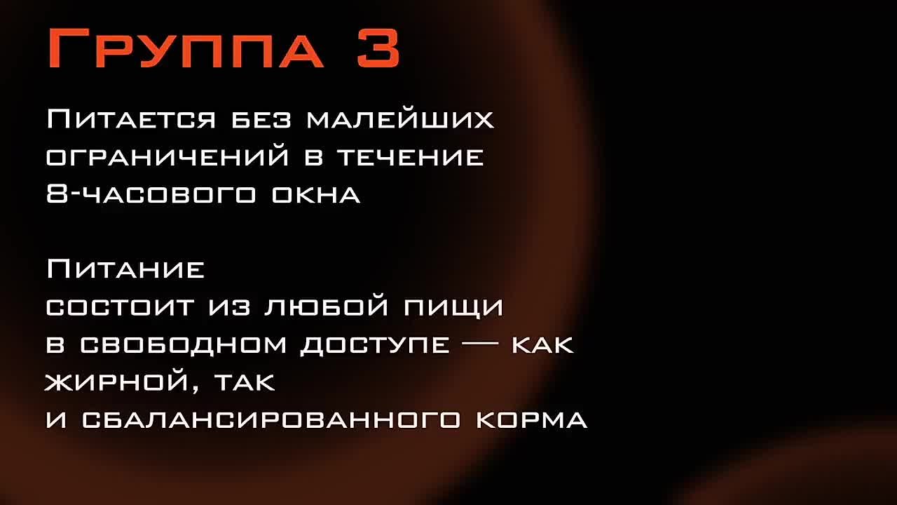 Йога для полных