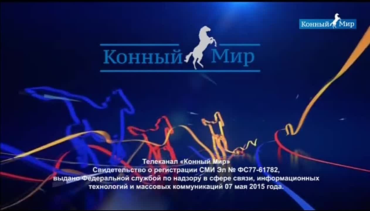 Конный Мир