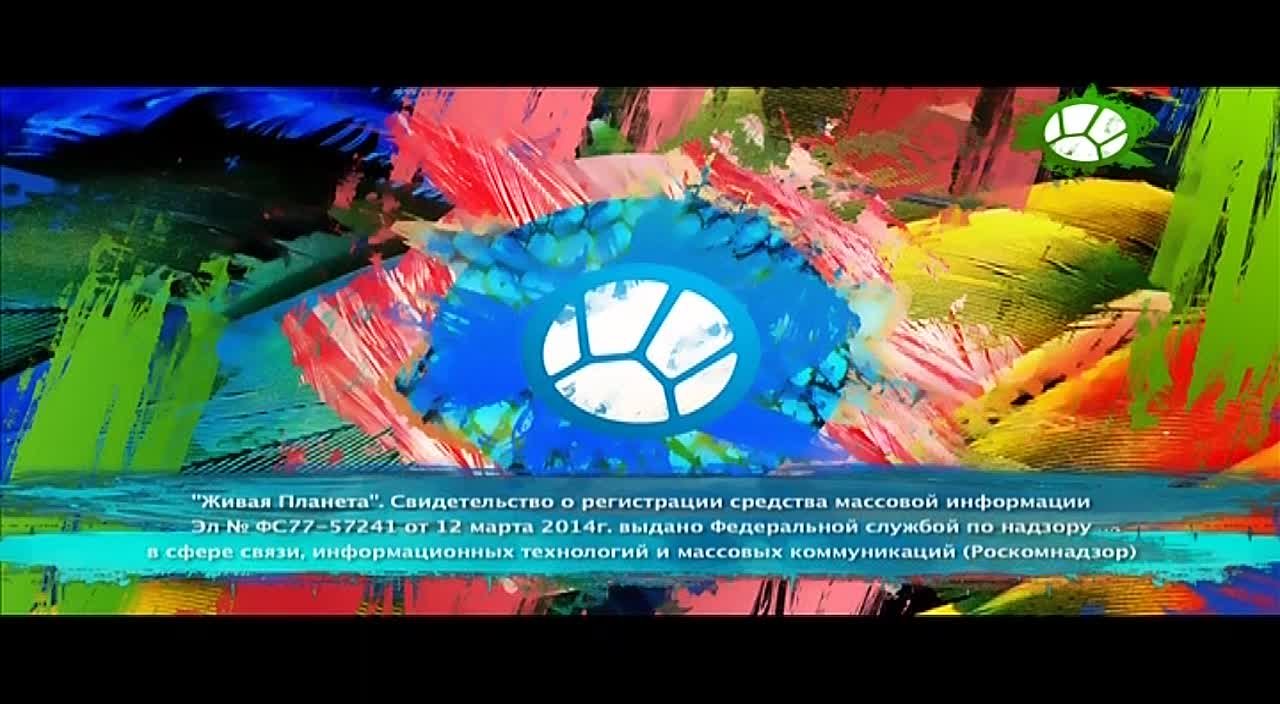 Живая Планета