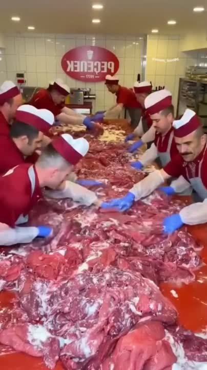 Пицца, чебуреки, беляши, бургеры.