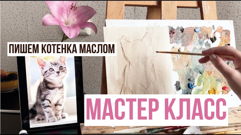 котейки