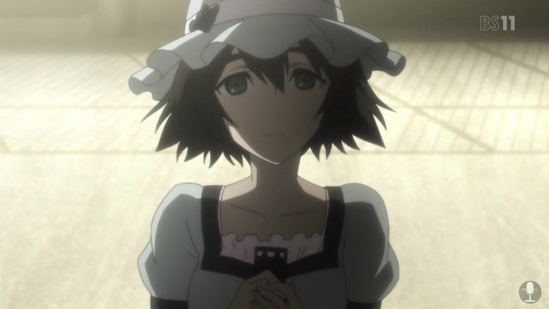 Steins;Gate / Брама;Штейна