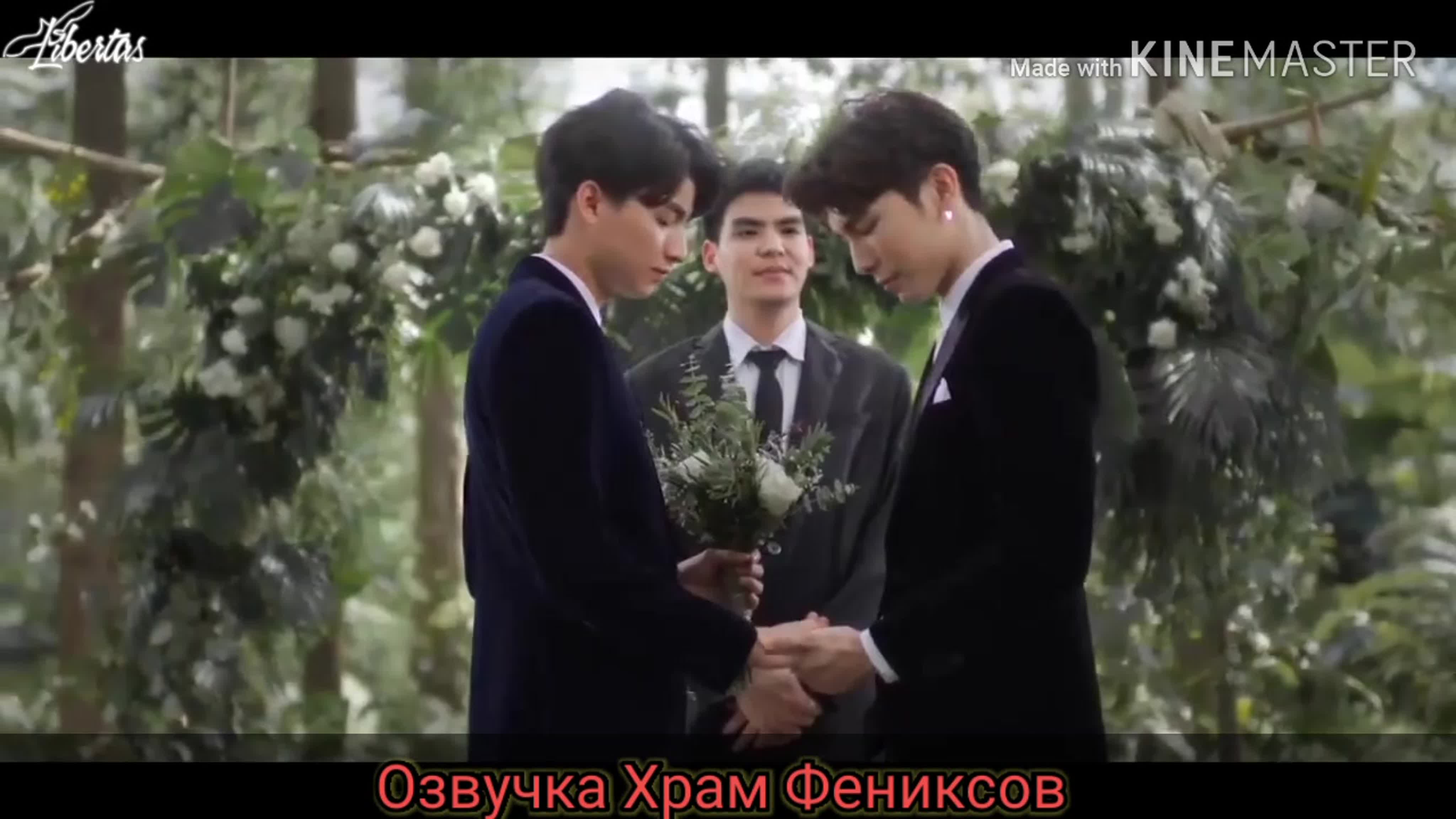 История Тарна и Тайпа