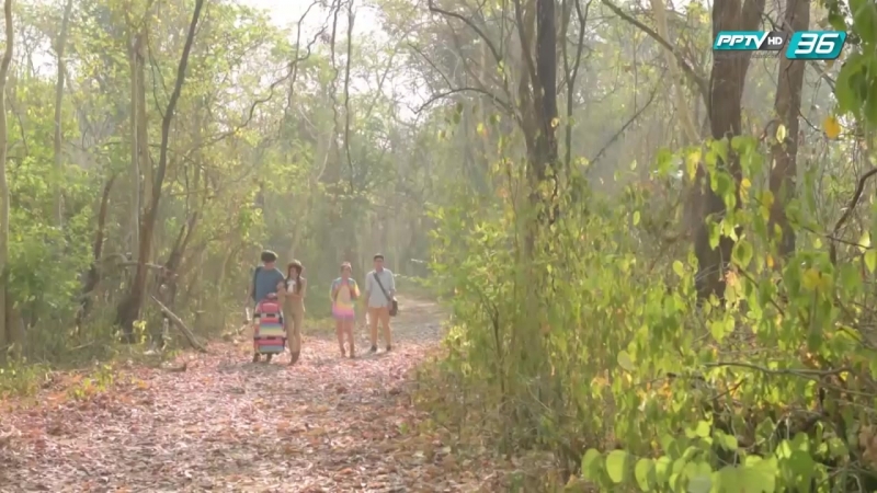 Порочный роман