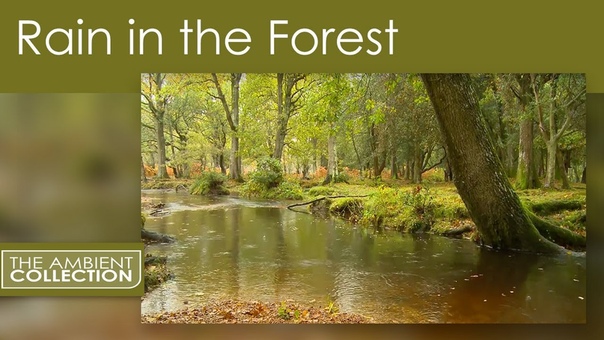 ♡ Дождь, гроза, молнии ♡