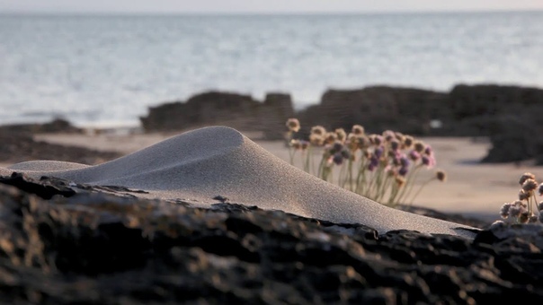 ♡ johnnielawson ♡