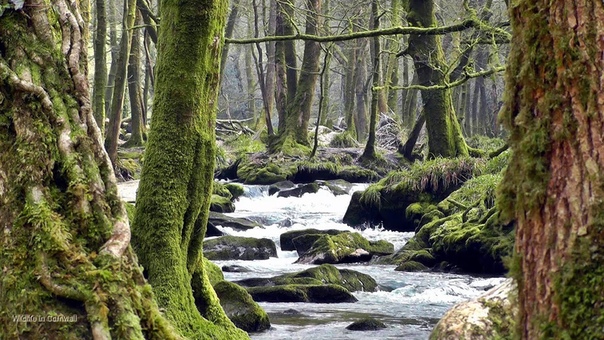 ♡ Paul Dinning ♡