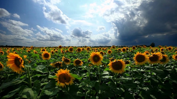 ♡ 60minutes2relax ♡