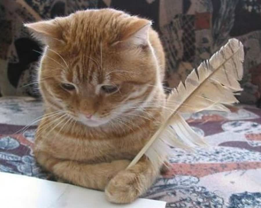 Милые Котейки ! :)