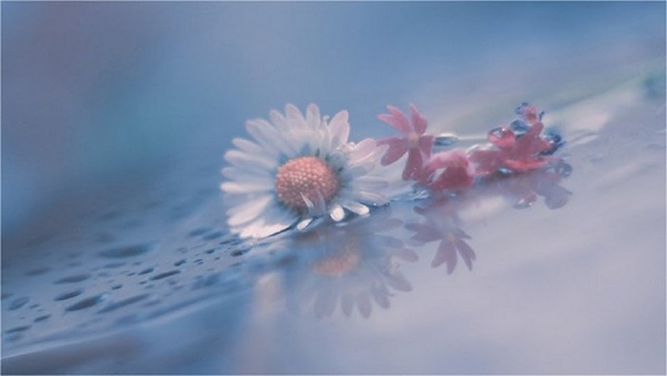 Духовный мир