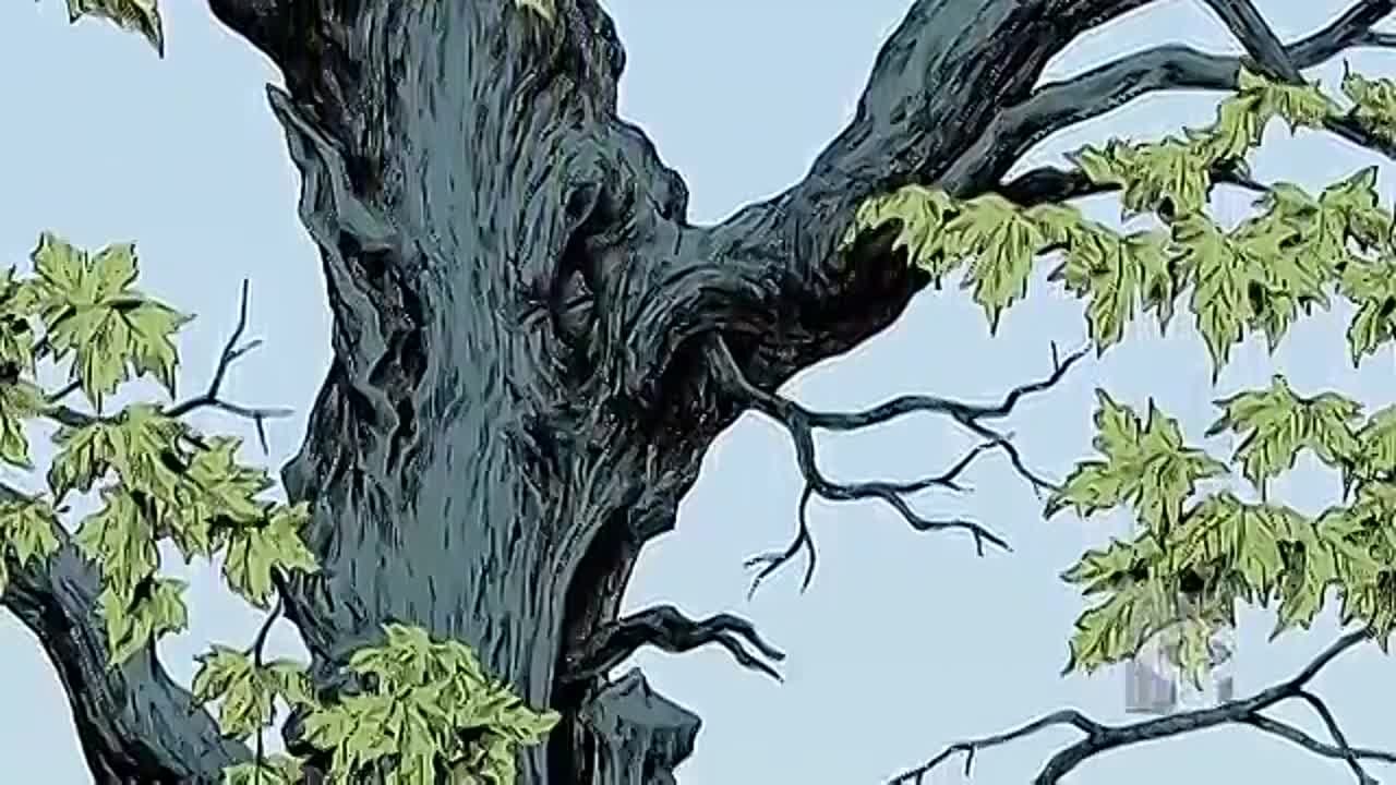 Мультфильмы