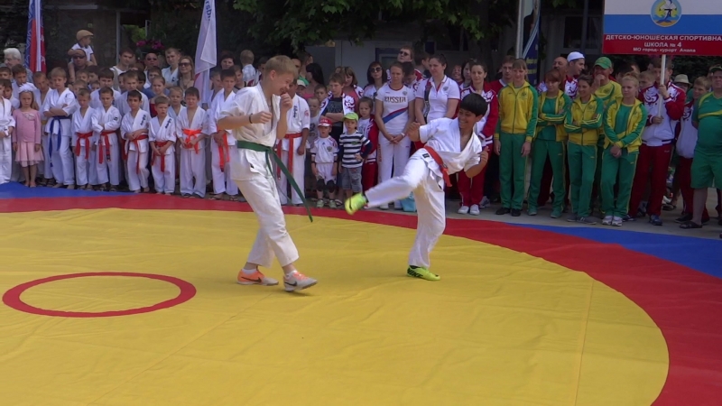 Всестилевое каратэ