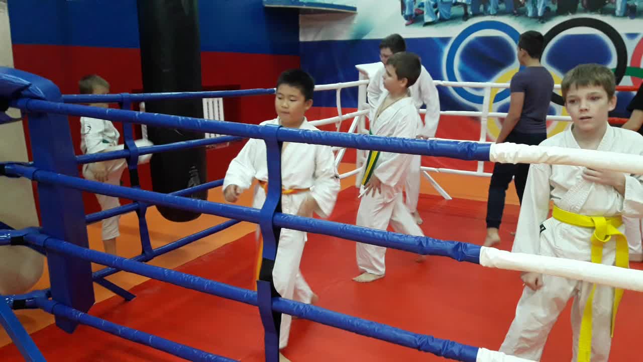 Тренировки 2017г.