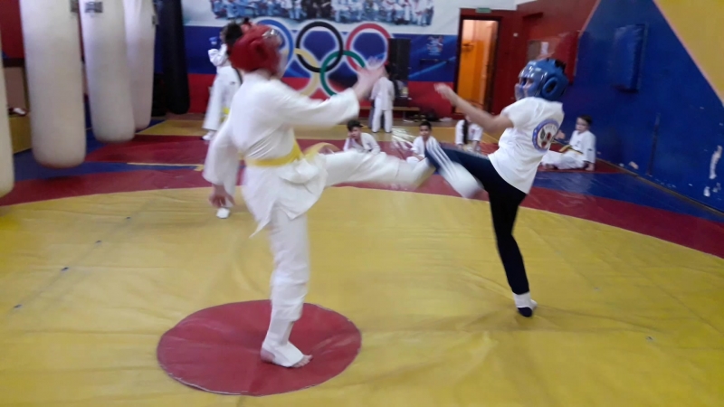 Мы Волонтеры на Первенстве России по Тхэквондо 2017г.