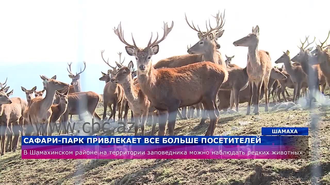 Природа Азербайджана