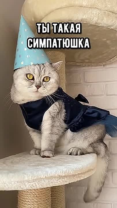 Поздравлялки