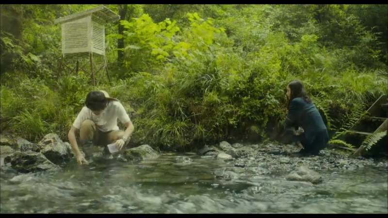 Дневные красавицы.  2014. Япония