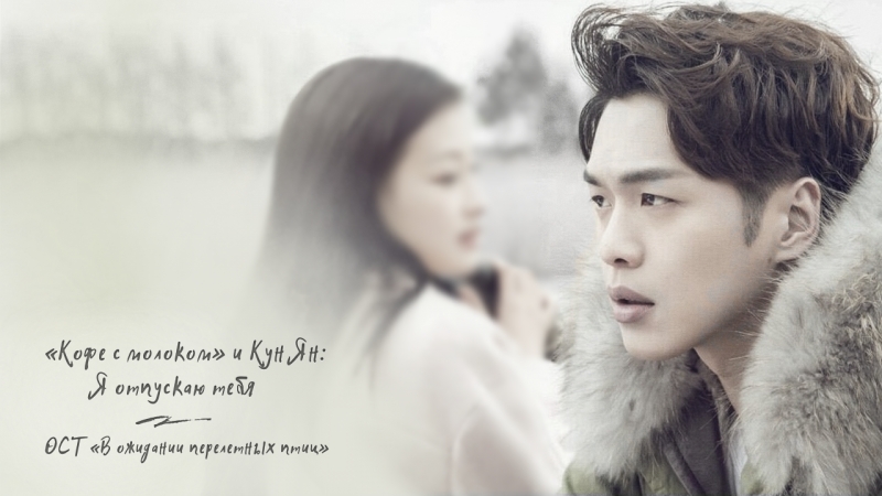 2017. 15 лет в ожидании перелетных птиц. Китай