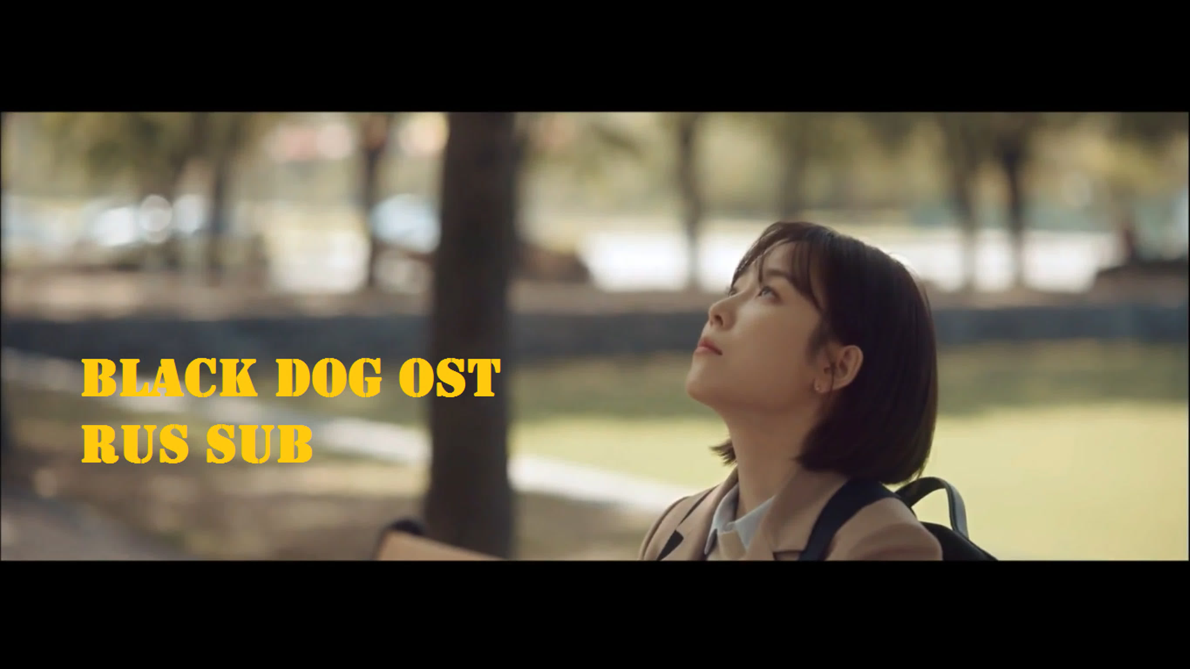 19г 20г. Черный пес.