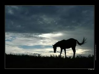 Paco de Lucia/Пако де Люсия