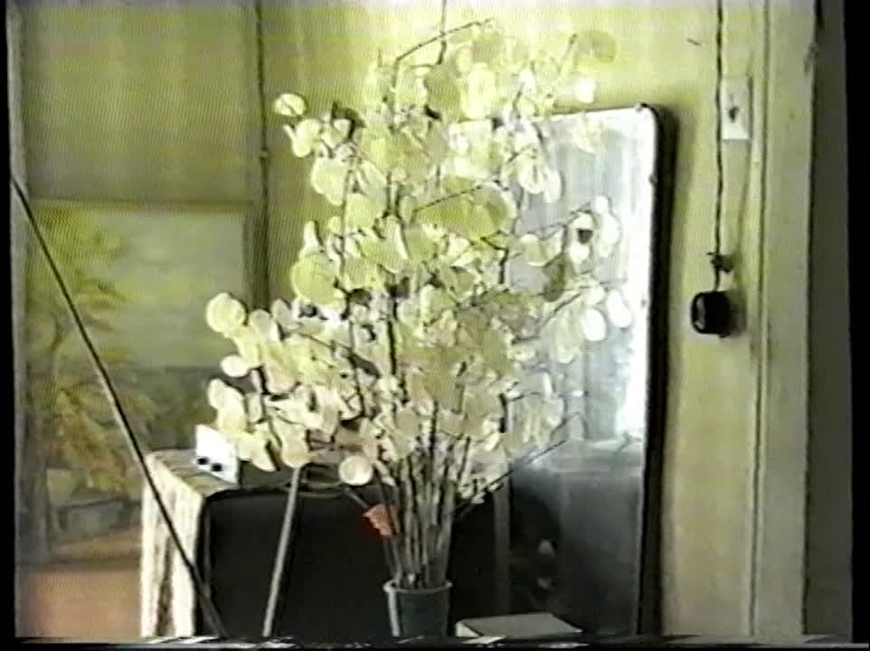 Николай Рославец, Петерис Васкс