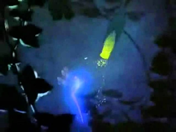 Поздравления