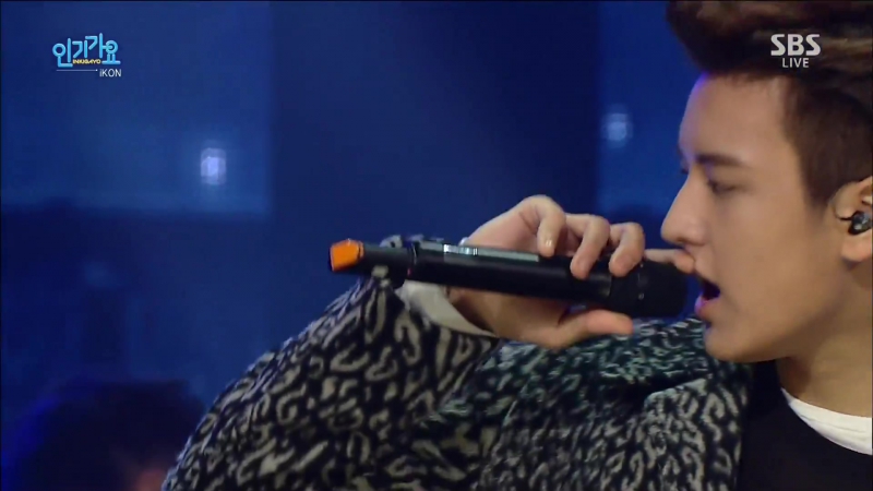 • Выступления с Apology•