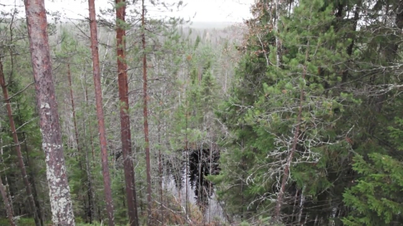 Главное не думать что ты умрешь.