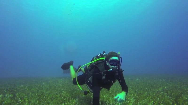 Этот удивительный мир