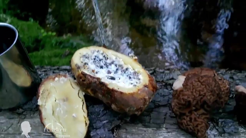 Когда руки не из жопы