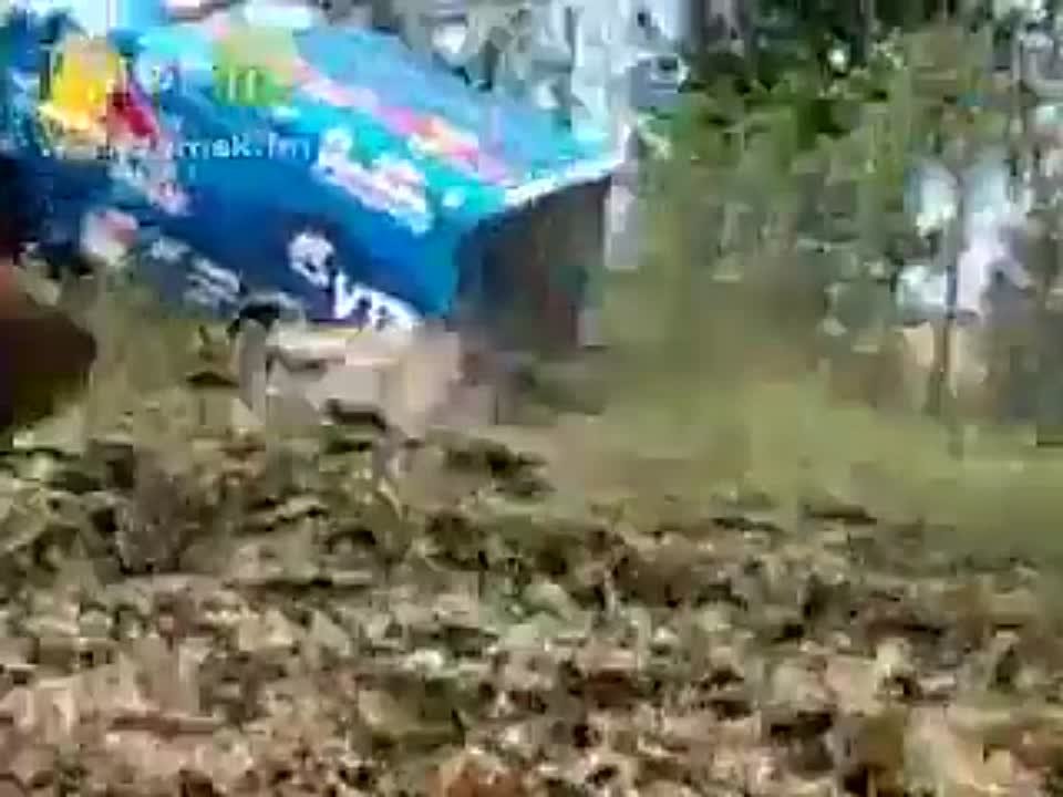 Жопы, титьки... 18+