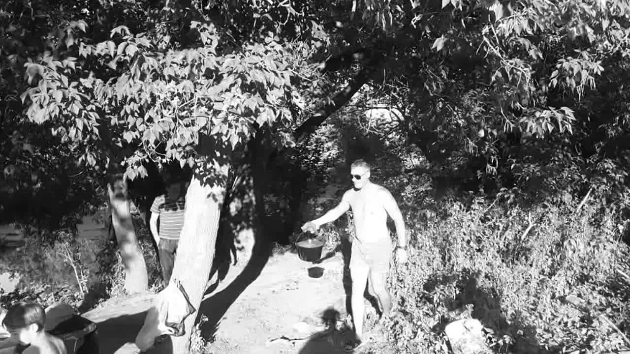 Видеоблог Александра Тимофеева