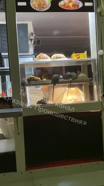 Бизнес и экономика