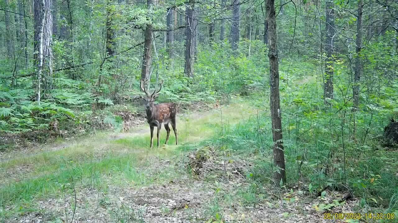 Природа и экология