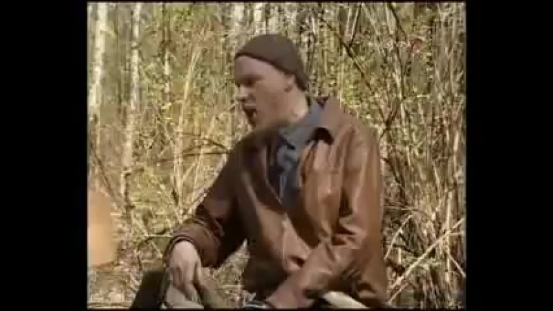 Странствия музыканта