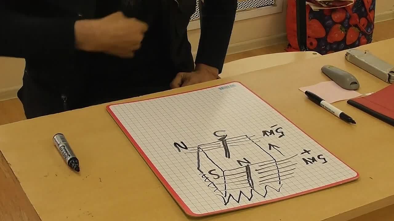 Энтропиологический институт