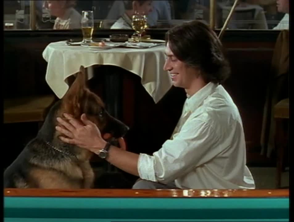 Комиссар рекс 1 2 3 4 5 6 7 8 9 10 11 12 13 14 15 16 Сезон