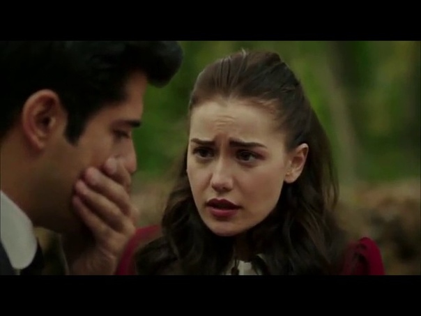 Королек птичка певчая