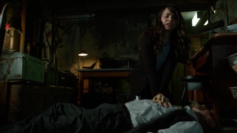 Штамм  1-2  сезоны