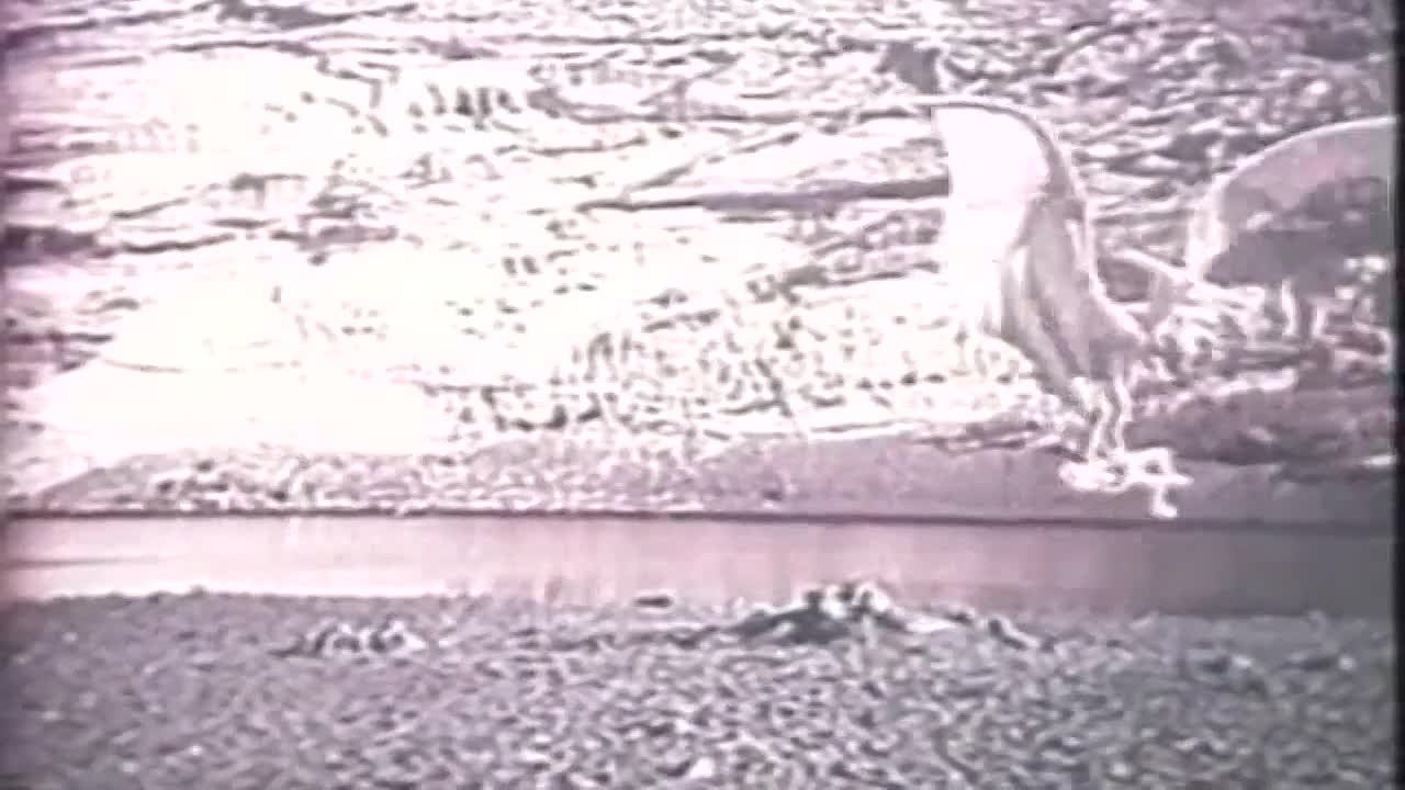 100 лет ужаса