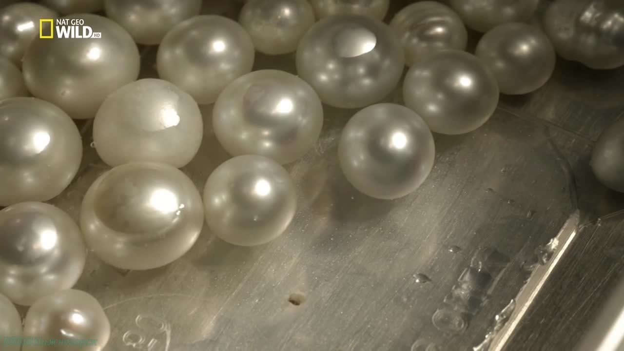 КРАСОТЫ нашей ПЛАНЕТЫ